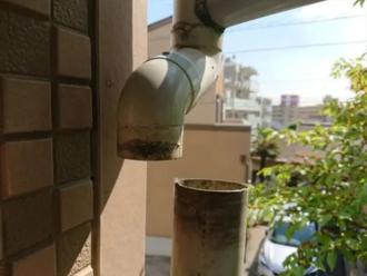 縦樋の外れ